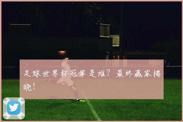 足球世界杯冠军是谁？最终赢家揭晓！