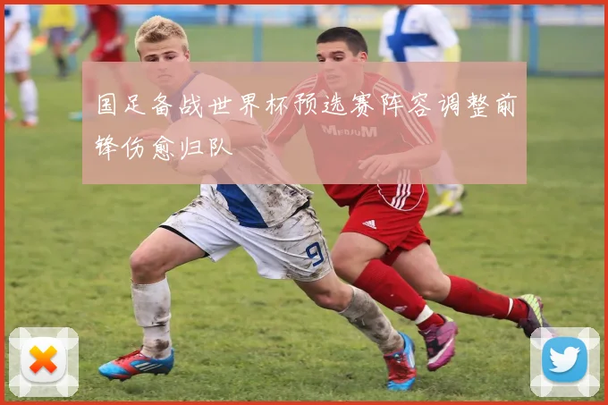 国足备战世界杯预选赛阵容调整前锋伤愈归队