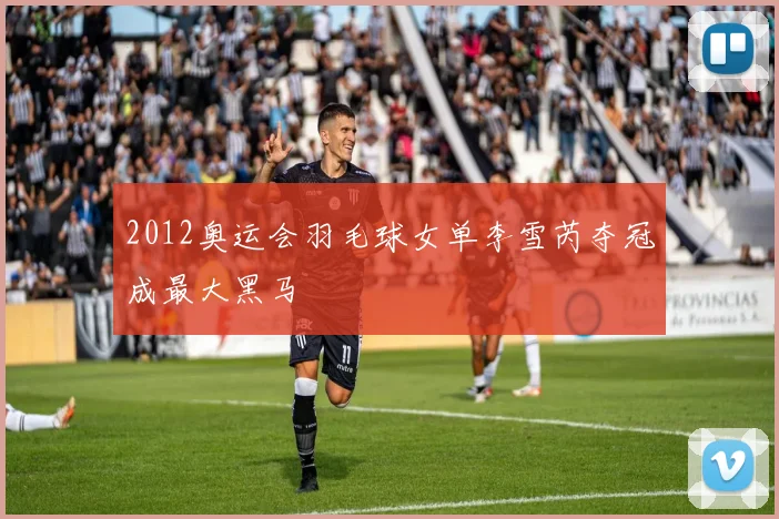 2012奥运会羽毛球女单李雪芮夺冠成最大黑马