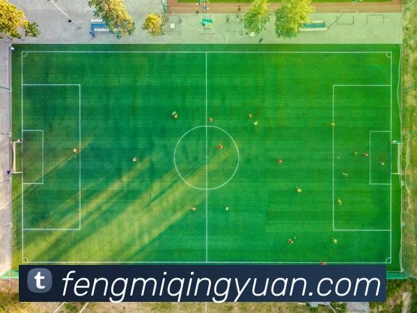 世界杯官网登录app平台生态图